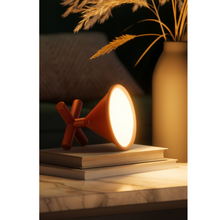 Učitajte sliku u preglednik galerije, / CONO pametna lampa /