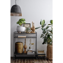 Učitajte sliku u preglednik galerije, / TANNA barska kolica /