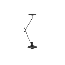 Učitajte sliku u preglednik galerije, / ARIGATO stropna lampa AR-C /