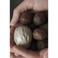 Učitajte sliku u preglednik galerije, / ORAH ukras /
